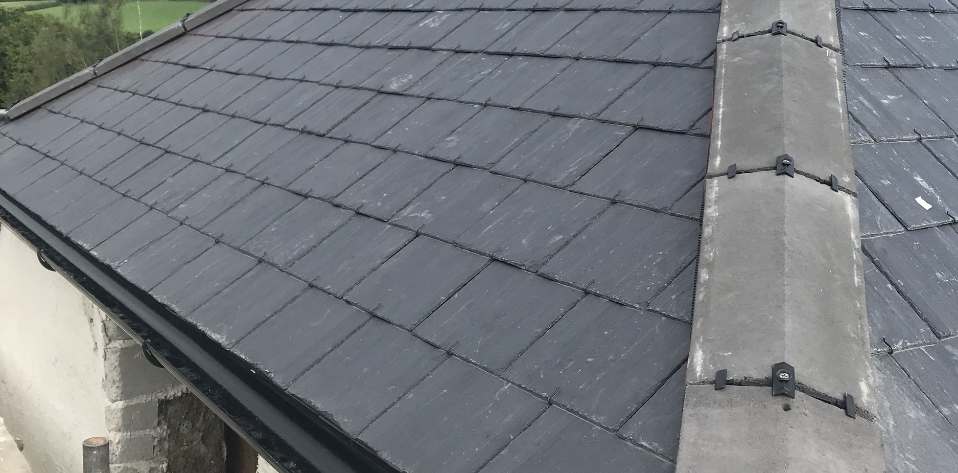 Experienced Professionals